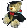 grad-bear.jpg